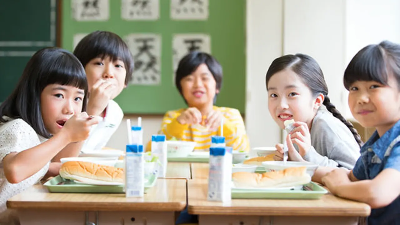 Organic carrot farm in sunlight