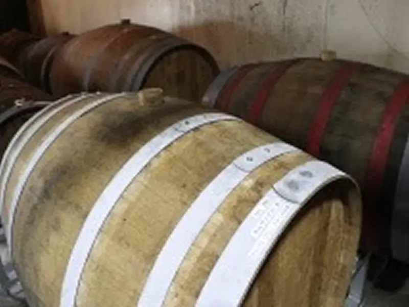 朝日酒造(株)のギャラリー画像5