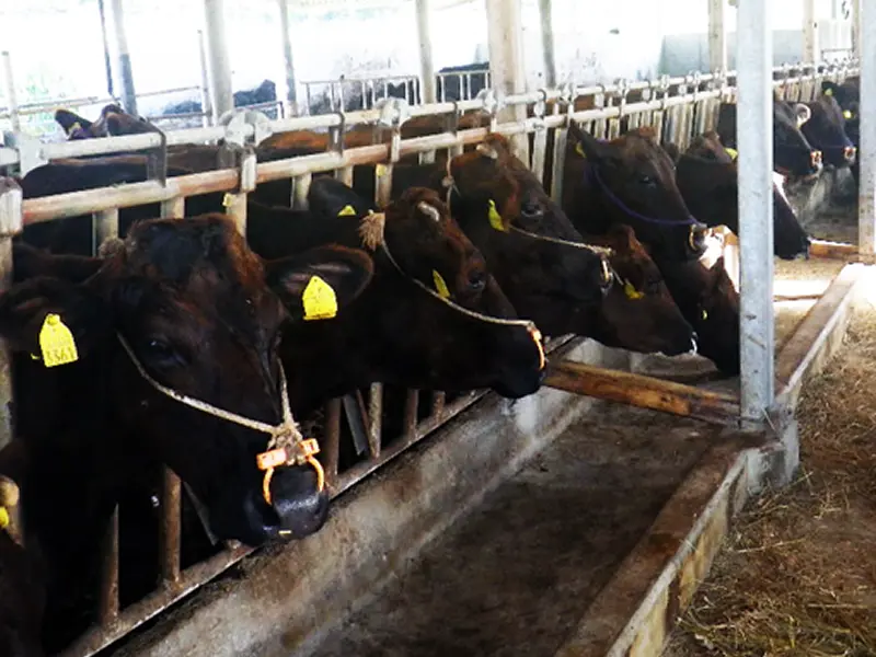 ミネックス(株)||峰山商店のギャラリー画像1