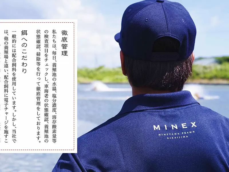 ミネックス(株)||峰山商店のギャラリー画像2