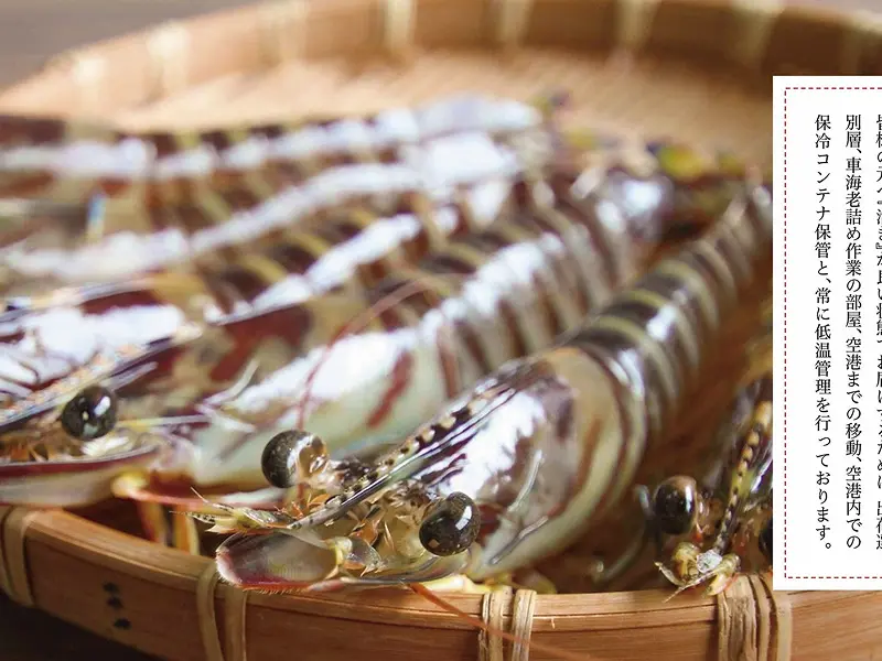 ミネックス(株)||峰山商店のギャラリー画像3